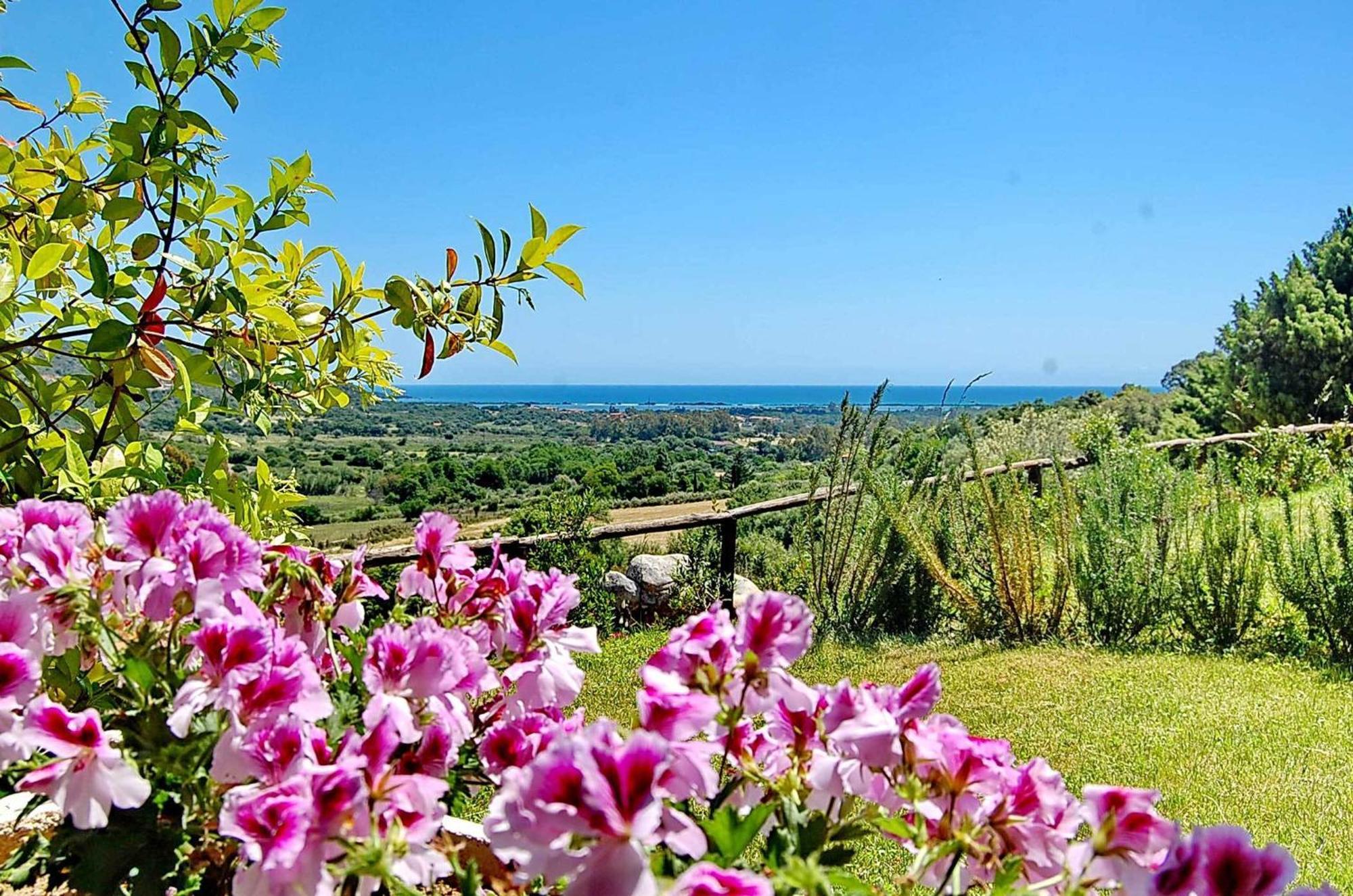 Li Teggi Turismo Rurale San Teodoro  Exterior foto